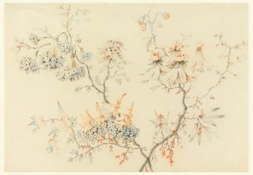 Flowering Branches