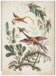 Ornament. Chinoiserie. Flowers and Birds.