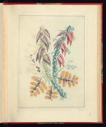 Ornamental Design with Triangular Purple and Red Leaves, from Nouvelle suite de cahiers de fleurs naturelle a l