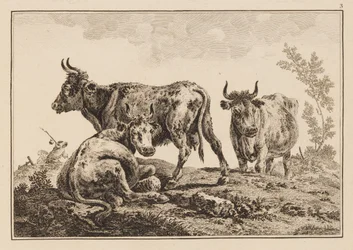 Plate 3, from "Cahier de Six Feuilles de Boeufs et Vaches"