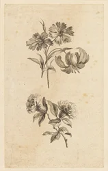 Two Flower Sprigs