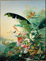 Exotic Flowers