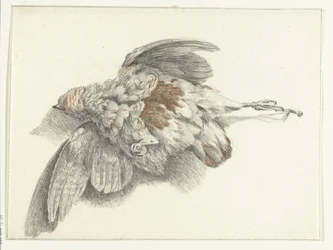 Poultry Hanging on the Wall