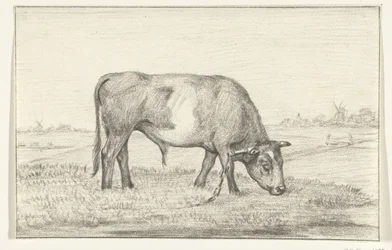 Grazing Bull in a Meadow, Facing Right