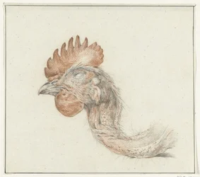 Head of a Dead Chicken