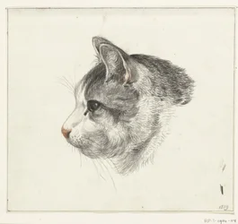 Head of a Cat, to the Left