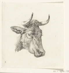 Head of a Cow