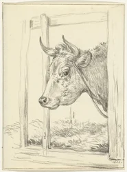 Head of a Cow in a Stable, Facing Left