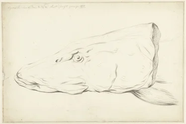 Head of a Pike