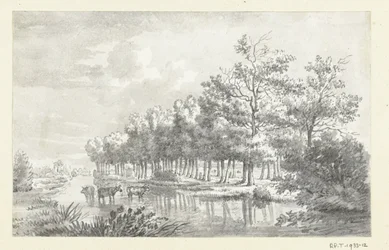 Landscape with wading cows