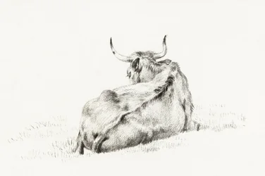Lying Cow