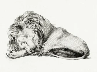 Lying Lion