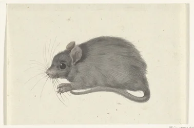 Mouse, Facing Left