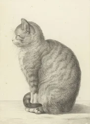 Sitting Cat, to the Left. 1815