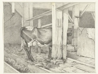 Standing Cow in a Stable, Facing Right