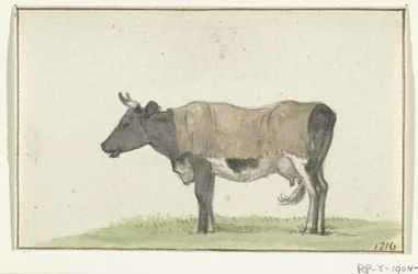 Standing Cow with Blanket, Facing Left