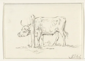 Standing Cow with Its Head between Posts