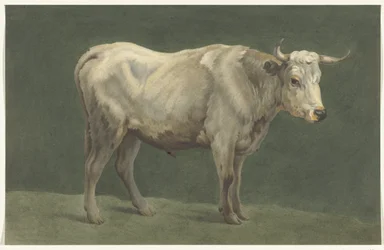Standing Bull, Facing Right