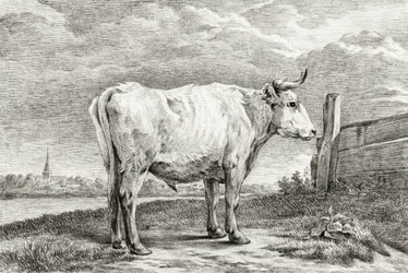 Standing Bull