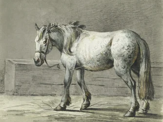 Standing Horse