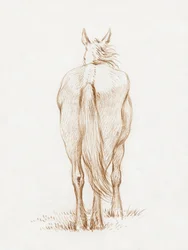Standing Horse
