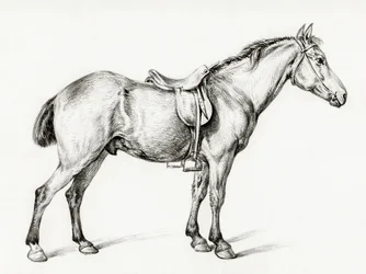 Standing Horse