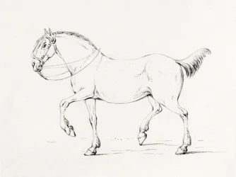 Stepping Horse