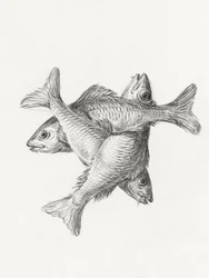 Three Fishes