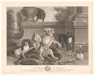 Three Dogs, One Dressed Up, on a Patio (title on object: Le Serrail du Doguin)