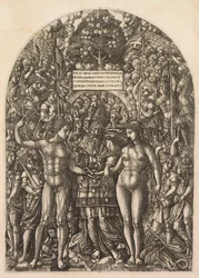 Marriage of Adam and Eve, 1555
