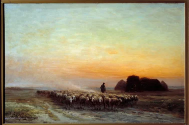 Herd of Sheep in Dust