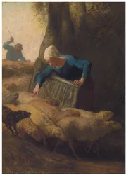 Counting the Flock