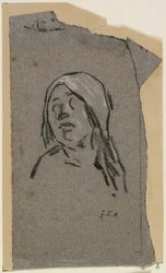Study of Woman
