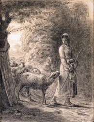 The Newborn Lamb