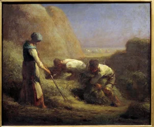 The hay boaters