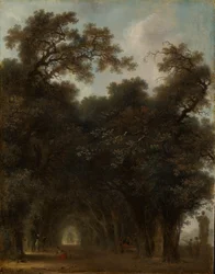 A Shaded Avenue