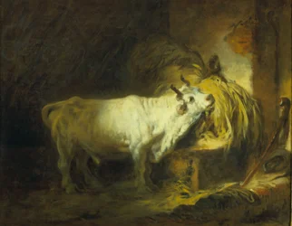 The White Bull in the Stable