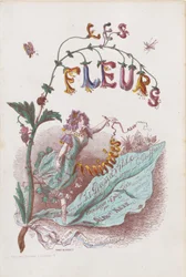 Les Fleurs Animées, Title Page, 1847