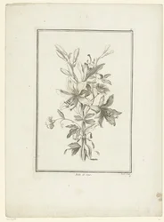 Bouquet with Lily (Belle de Jour) (IIe Cahier de Bouquets)