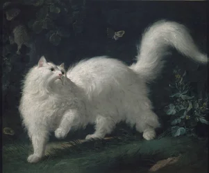 Angora cat chasing a butterfly, c. 1760