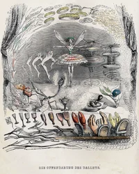 The Revelations of Ballet