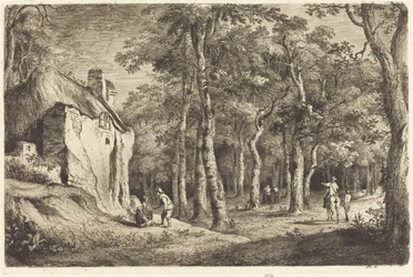 Forest Entrance