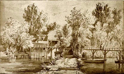 Landscape