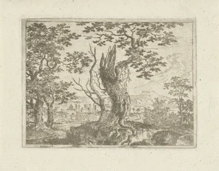 Landscape with a Broken Tree