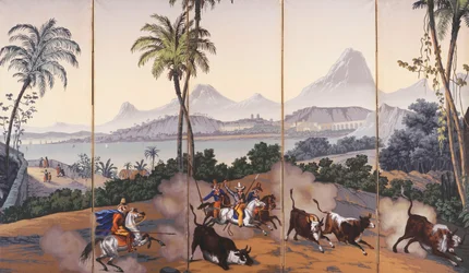 Views of Brazil