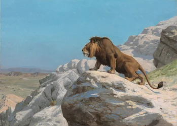 Lion on the Watch