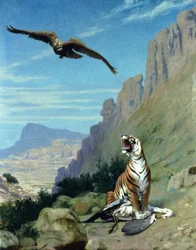 Tiger and Vulture