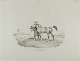 An Arabian Horse, plate 8 from Various Subjects Drawn from Life and on Stone (The English Suite)