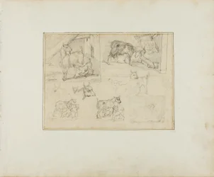 Sketches of Goats