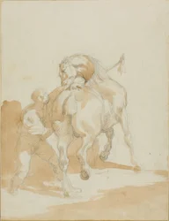 Stableboy Grooming a Horse